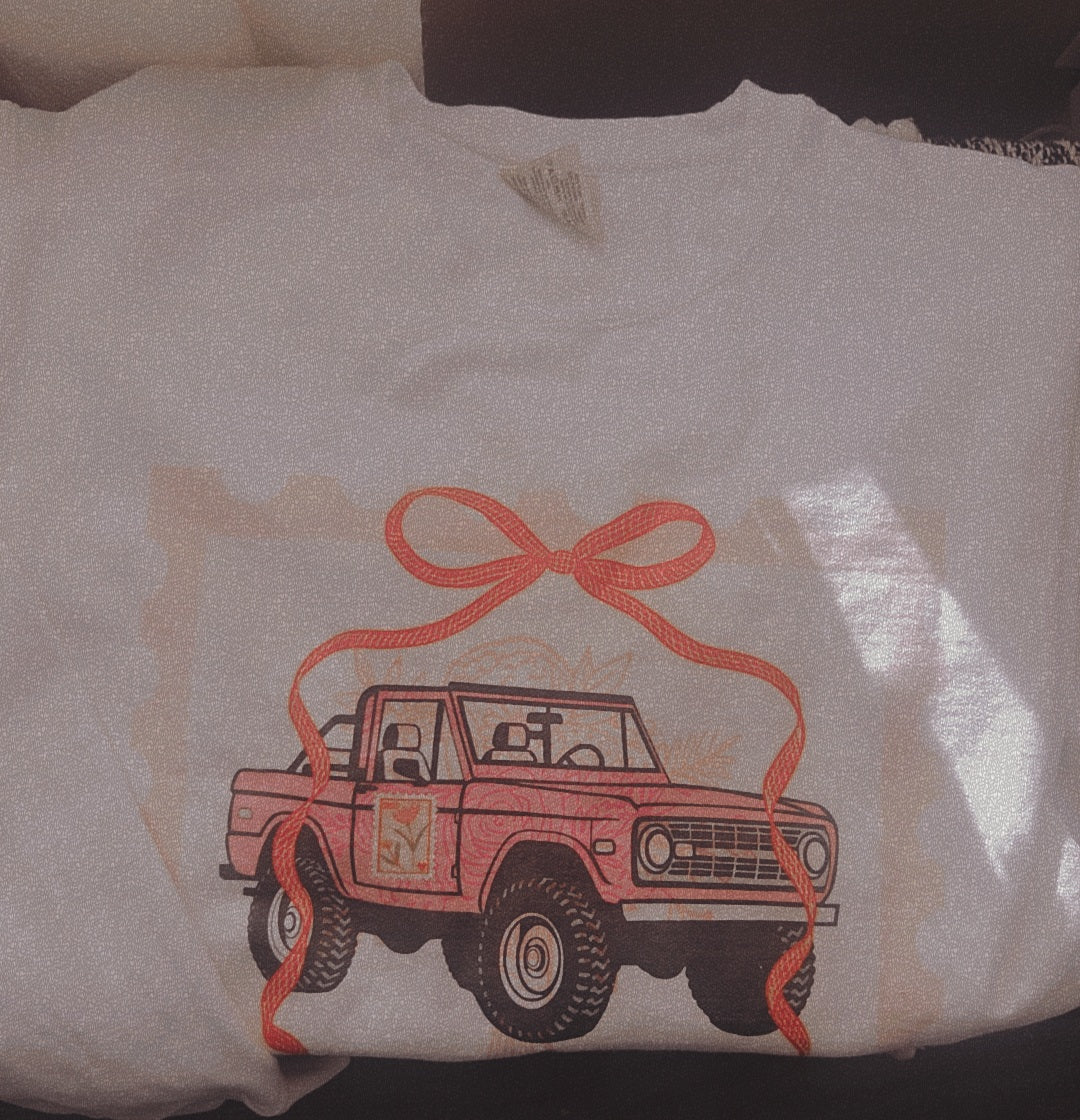 PINK BRONCO VALENTINES DAY SWEATSHIRT 🩷